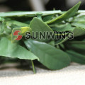 garden decorative artificial ivy vine leaf split bamboo fence covering